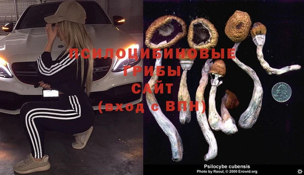 винт Арсеньев
