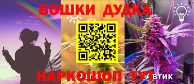 прущие крисы Можга