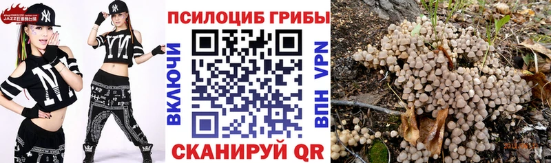 Псилоцибиновые грибы мухоморы  мега ССЫЛКА  Волжский 