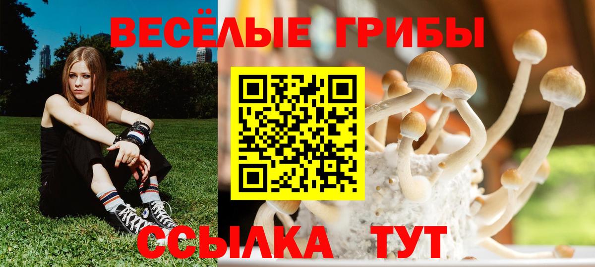 Галлюциногенные грибы Cubensis Волжский