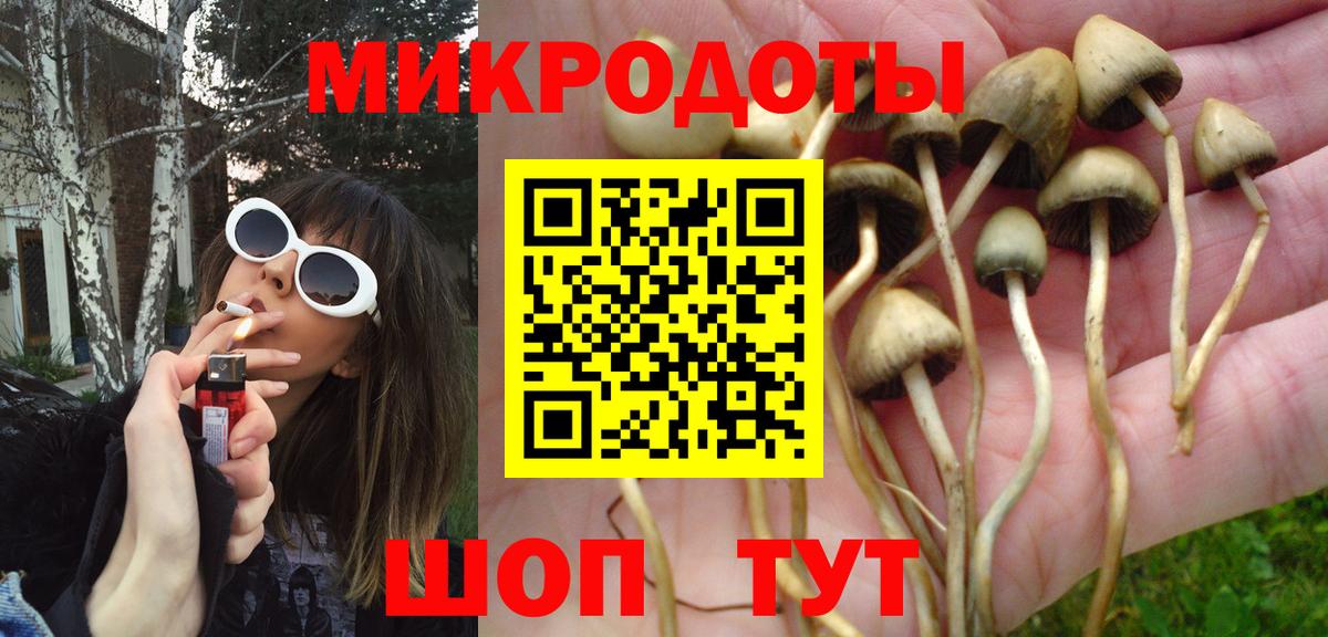 Псилоцибиновые грибы Psilocybine cubensis  купить наркотик  Волжский  Вход с VPN 
